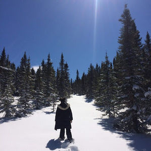 Meet your Posher, Karlington